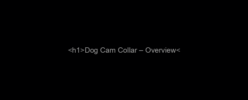 <h1>Dog Cam Collar – Overview</h1>